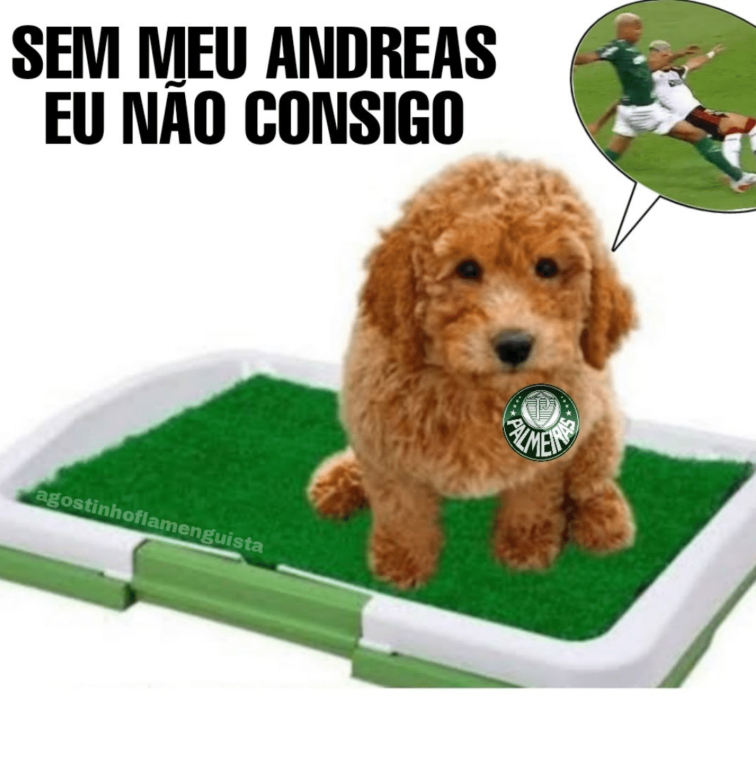 PALMEIRAS NÃO TEM MUNDIAL! Veja os principais memes que explodiram