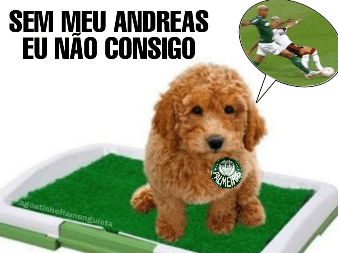 Palmeiras não tem Mundial: rivais criam memes para zoar vice para
