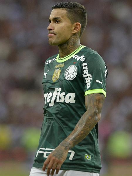 Dudu, atacante do Palmeiras, em jogo contra o Vasco pelo Brasileirão -  DHAVID NORMANDO/FUTURA PRESS/ESTADÃO CONTEÚDO