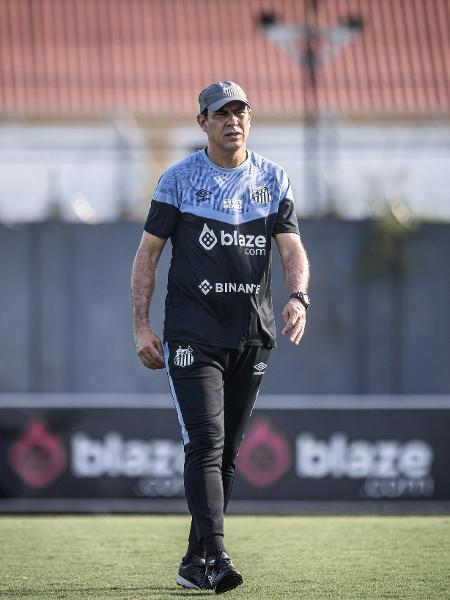 Técnico do Santos, Fábio Carille comanda o treino no CT Rei Pelé