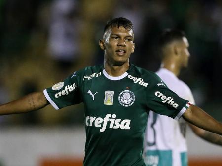 Palmeiras x Goiás: prováveis escalações, onde assistir e arbitragem