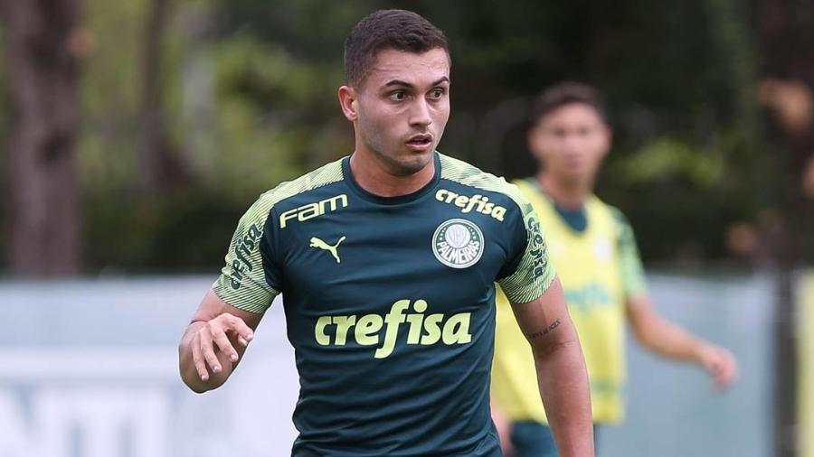 Luan Silva está se recuperando de lesão no Palmeiras - Cesar Greco/Ag. Palmeiras/Divulgação