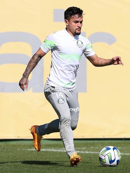 Artur, jogador do Palmeiras durante treinamento - Reprodução