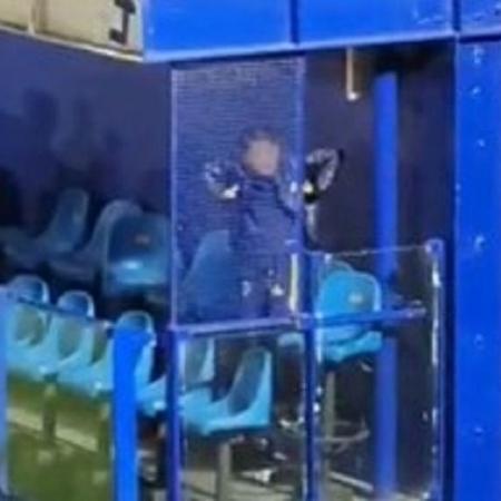 LAMENTÁVEL! Criança é flagrada imitando macaco para torcedores do Palmeiras