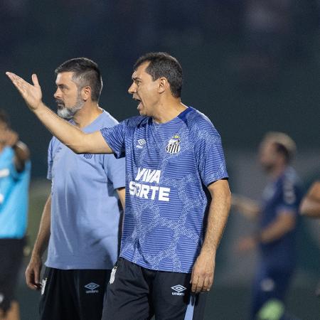 Técnico Fabio Carille, do Santos, durante partida contra o Guarani