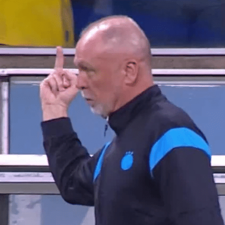 Mano Menezes mostra dedo do meio para torcedores do Grêmio após gol dos gaúchos contra o Palmeiras pelo Campeonato Brasileiro 2025