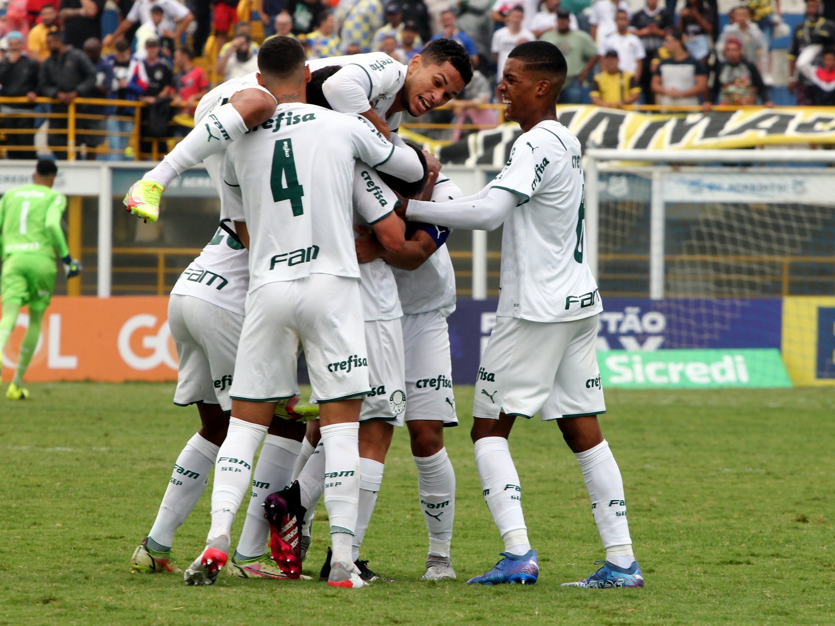 Palmeiras goleia o CSA por 6 a 2 no Pacaembu e continua na cola do