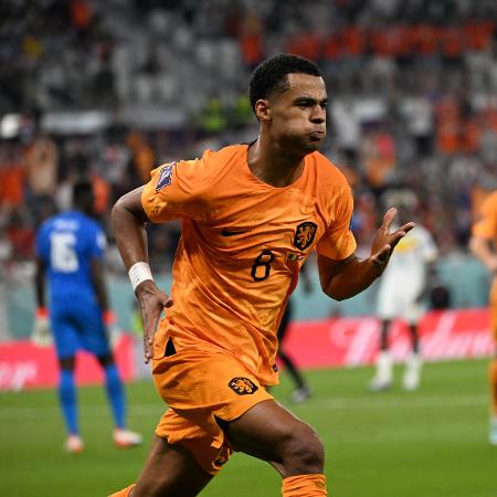 Gakpo abre o placar para a Holanda contra Senegal, na Copa do Mundo - OZAN KOSE / AFP