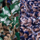 'Fator casa' pesou em apenas um Corinthians x Palmeiras na era das arenas