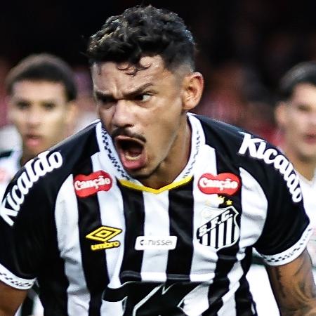 Tiquinho Soares comemora gol marcado pelo Santos contra o São Paulo no Brasileirão Tiquinho Soares comemora gol marcado pelo Santos contra o São Paulo no Brasileirão