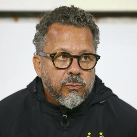 Cléber Xavier, técnico do Santos, durante jogo contra o Ceará