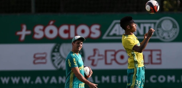 Cesar Greco/Ag. Palmeiras