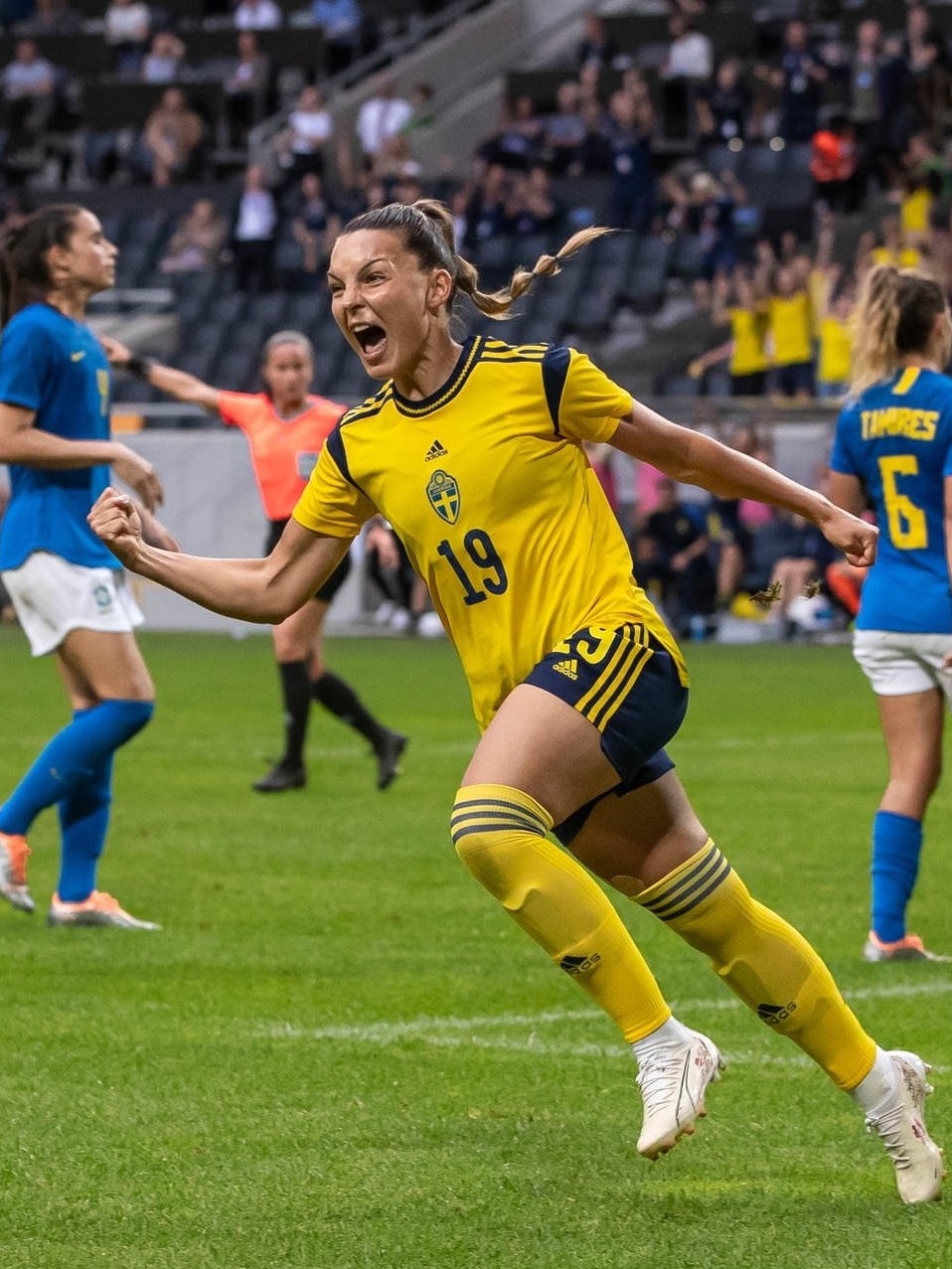 Brasil feminino sofre virada e perde para Suécia em amistoso - Jogada -  Diário do Nordeste