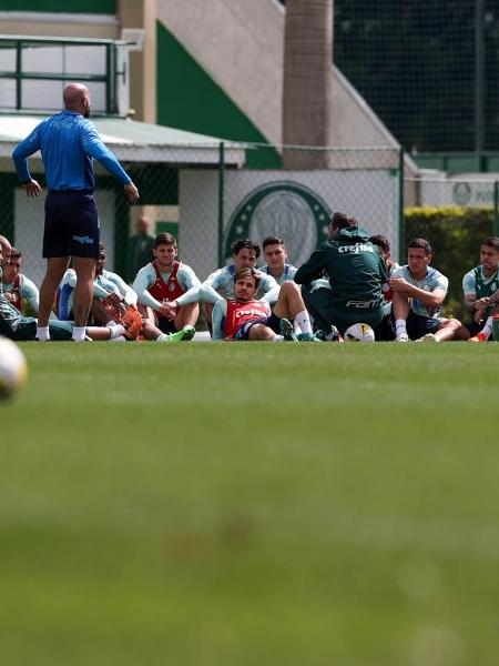 O técnico Abel Ferreira e sua comissão técnica conversam com o elenco do Palmeiras durante treinamento - Cesar Greco