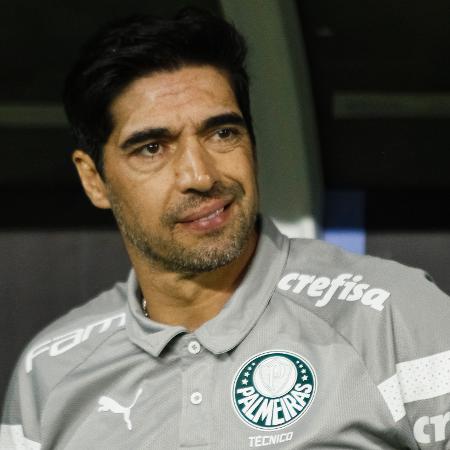 O Palmeiras encara o Criciuma no Allianz Parque neste domingo (15), às 16h (de Brasília)