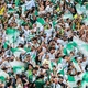 Abel elogia 'clima de Allianz Parque' em estreia no Mundial: 'jogamos em casa'