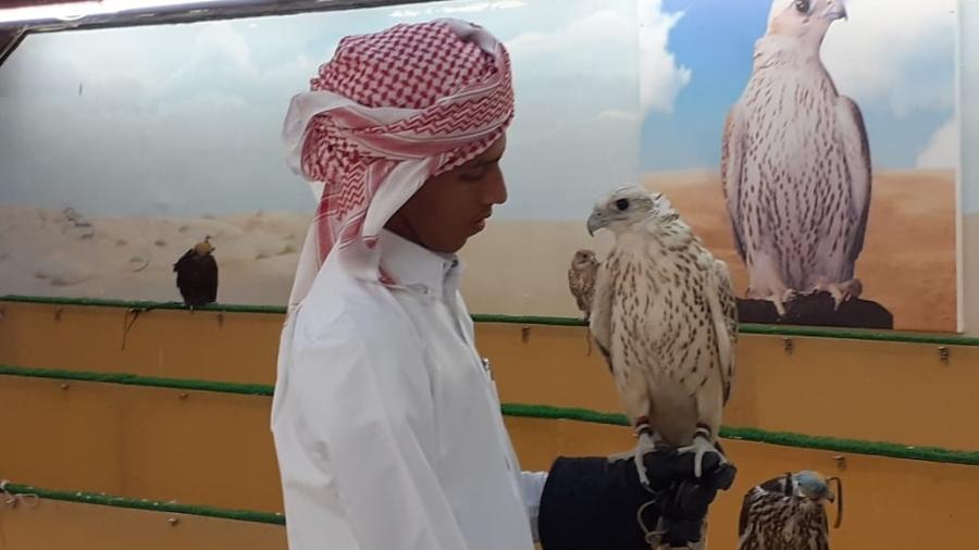 Falcão é o animal símbolo do Qatar e expressa prosperidade no país - Leo Burlá/UOL