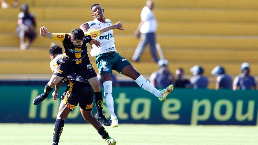 Danilo disputa lance pelo alto na partida do Palmeiras contra o Novorizontino -  Thiago Calil/AGIF