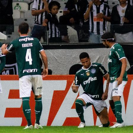 Palmeiras visita o Botafogo no Engenhão. Será que a vantagem aumenta? - Fernando Moreno/AGIF