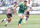 Botafogo x Palmeiras: horário e onde assistir ao jogo do Brasileirão - Marcello Zambrana/AGIF