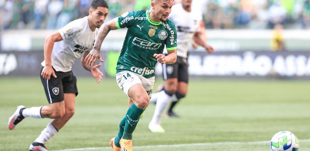 Botafogo X Palmeiras: Onde Assistir Ao Vivo Ao Jogo Do Brasileirão