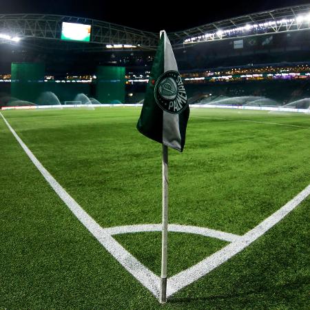 Allianz Parque, estádio do Palmeiras, é um dos que utilizam grama sintética 