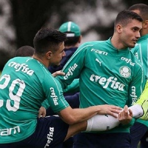 Cesar Greco/Ag Palmeiras/Divulgação