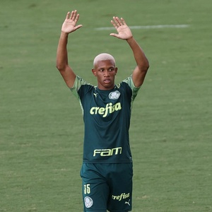 Cesar Greco/Palmeiras