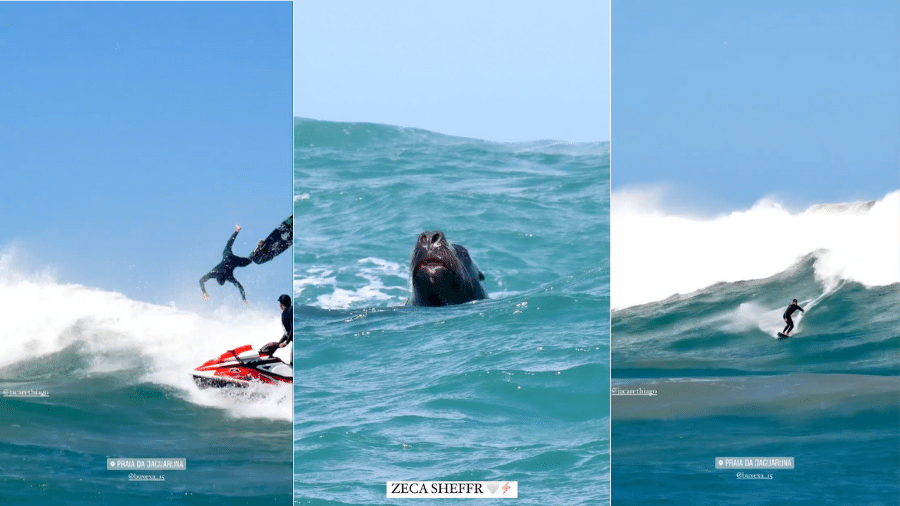 Italo Ferreira surfa acompanhado de leão-marinho em Santa Catarina - Instagram