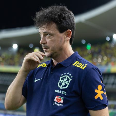 Fernando Diniz, técnico da seleção brasileira, na partida contra a Bolívia pelas Eliminatórias