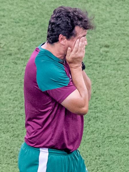 Fernando Diniz, técnico do Fluminense, se lamenta durante jogo contra a LDU