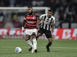 Mesmo se for campeão, Botafogo não irá bater recorde do Fla no Brasileirão