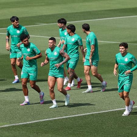 Treino do Palmeiras nos EUA, antes de jogo contra o Al Ahly - Cesar Greco/Palmeiras/by Canon