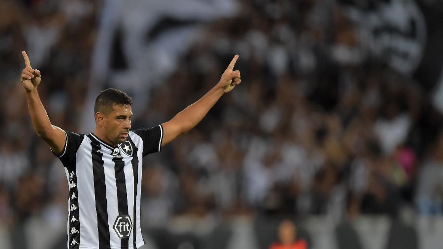 Diego Souza pode retornar ao time do Botafogo contra o Avaí, nesta segunda-feira - Thiago Ribeiro/AGIF