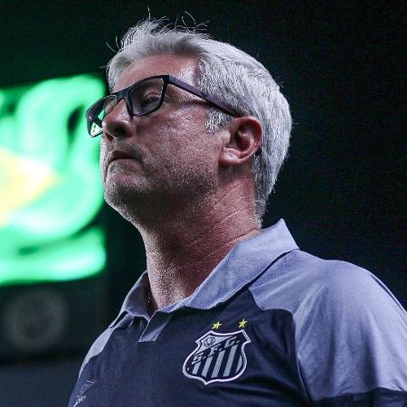 Odair Hellmann, técnico do Santos, durante jogo contra o Bahia - REINALDO CAMPOS/FUTURA PRESS/FUTURA PRESS/ESTADÃO CONTEÚDO