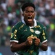 Abel escala Endrick, e Palmeiras tem força máxima na semifinal; veja time