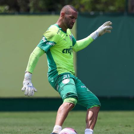 Weverton treina após ser convocado pela seleção brasileira para data Fifa - Cesar Greco/Palmeiras/by Canon