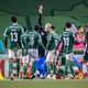 PVC: Aníbal se desculpou com jogadores do Palmeiras por expulsão no Dérbi