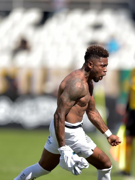 Marinho comemora gol marcado para o Santos contra o Botafogo - Thiago Ribeiro/AGIF