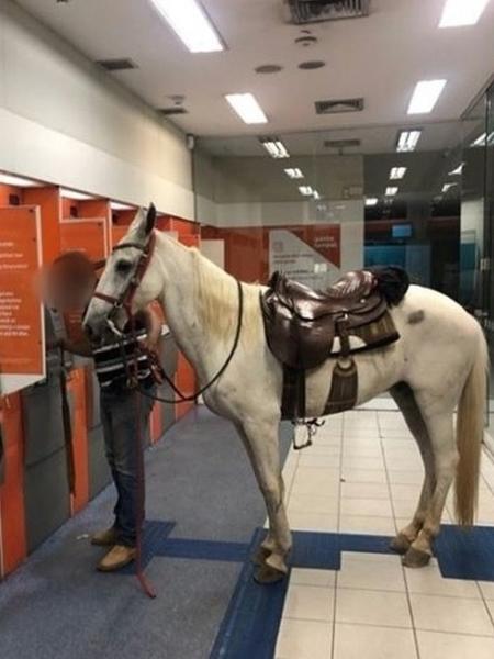 Cavalo dentro de uma agência bancária, na cidade de Várzea Paulista (SP) - Reprodução da Internet