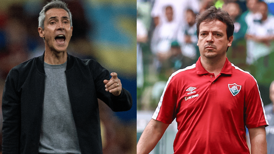 Paulo Sousa, treinador do Flamengo, e Fernando Diniz, treinador do Fluminense - Montagem/AGIF