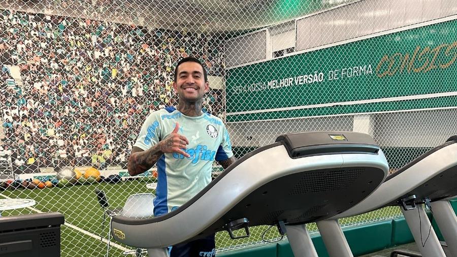 Dudu treina na Academia de Futebol, centro de treinamento do Palmeiras - Reprodução/Instagram