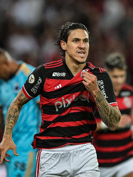 Pedro comemora gol que fez pelo Flamengo sobre o Cruzeiro