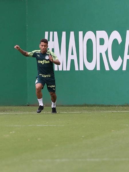 Marcos Rocha está perto de retornar ao Palmeiras - Cesar Greco/SE Palmeiras
