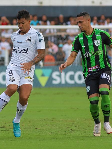 São Paulo x América-MG: onde assistir ao vivo, horário, escalação e mais do  jogo do Brasileirão