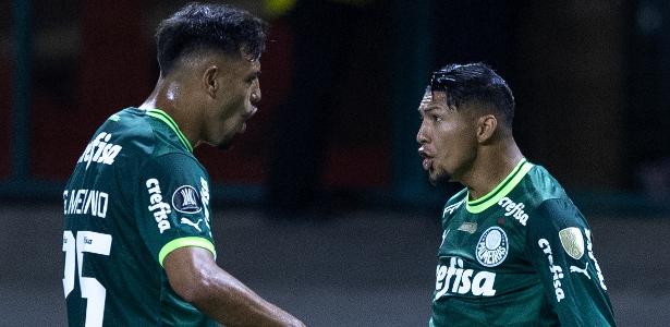 FUTURO INCERTO! Gabriel Menino, Rony e Zé Rafael podem deixar o Palmeiras após temporada de altos e baixos!