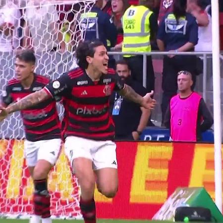 Pedro comemora gol marcado contra o Criciúma pelo Campeonato Brasileiro