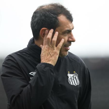 O Santos é o vice-líder da Série B do Brasileirão