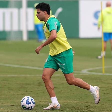 Bruno Rodrigues iniciou transição física nesta sexta-feira após 11 meses de lesão - Cesar Greco/Palmeiras