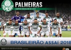 Palmeiras, campeão do Campeonato Brasileiro 2018 - Paulo Sérgio/Agência F8/Estadão Conteúdo